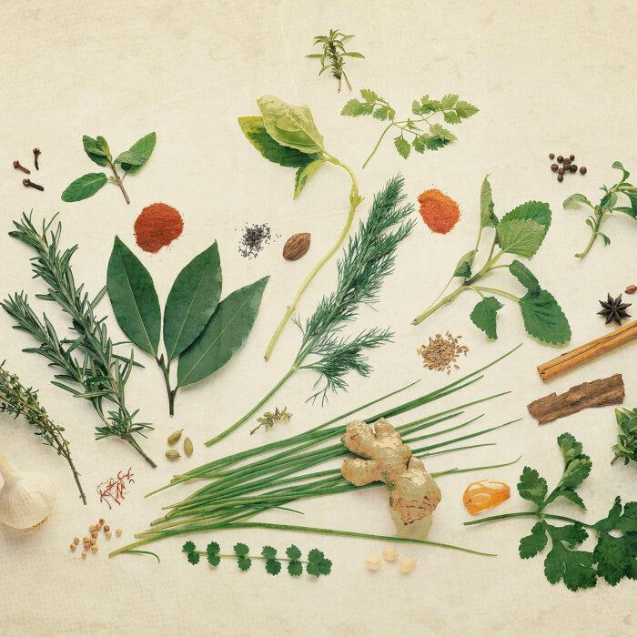 8 Things to Know About Herbs Before Using Them