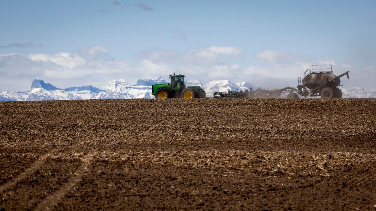 A family plants their wheat crop with a seeding rig, near Cremona, Alta., on May 6, 2022. (The Canadian Press/Jeff McIntosh)