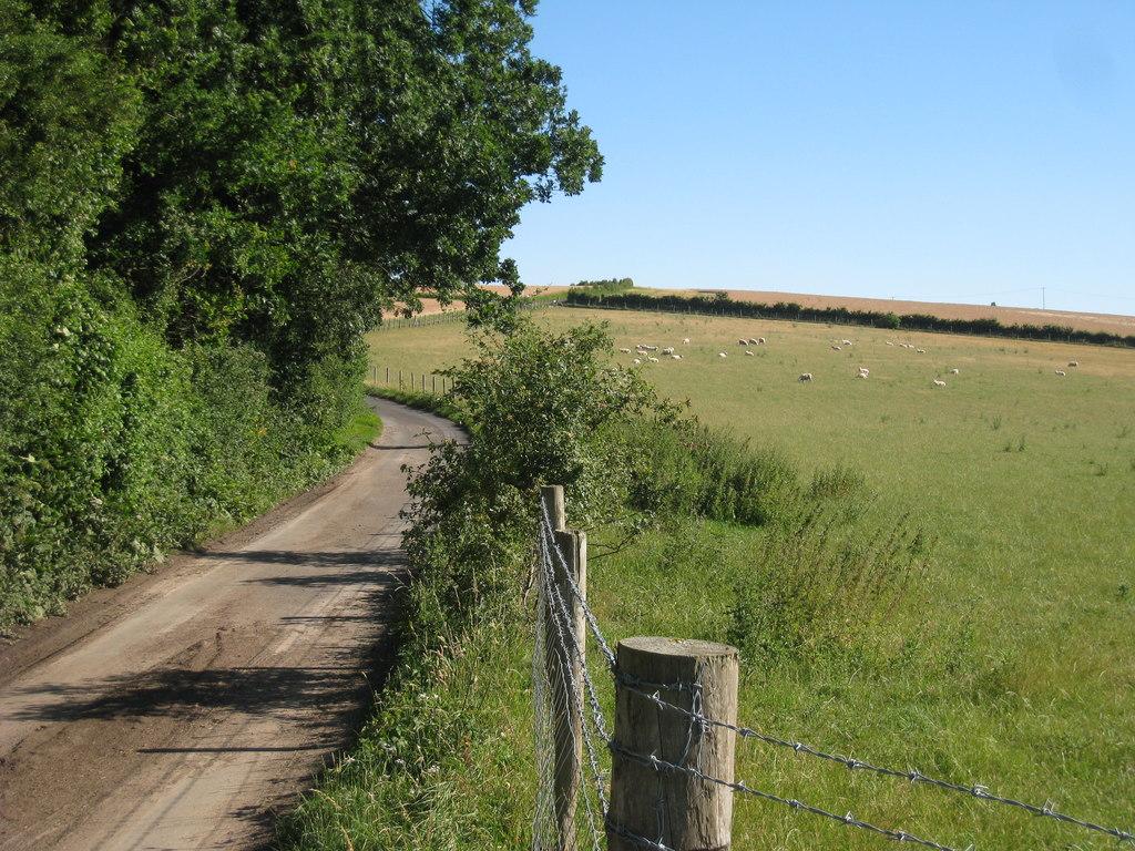 Building for Eternity: Rome’s Engineering Genius