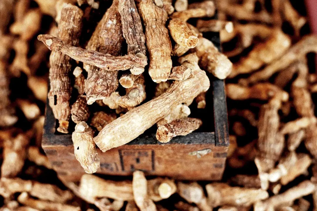 From Monkey King Legend to Modern Medicine: The Longevity Herb Polygonatum Sibiricum