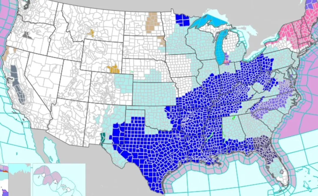 800,000 Without Power as Extreme Cold Temperatures Affect Much of the US