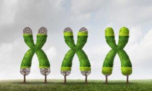 We Shorten Our Lives in All Kinds of Ways—But There May Be a Way to Reverse It