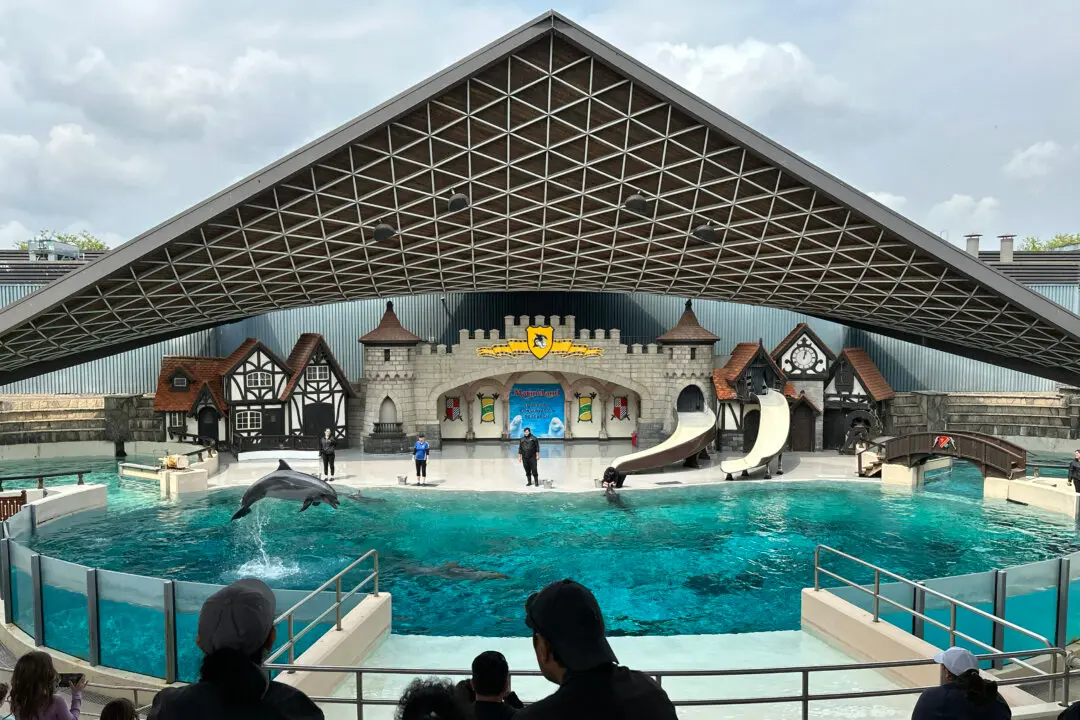 Marineland Has Solid Plan to Move Whales and Dolphins to US, Minister Says