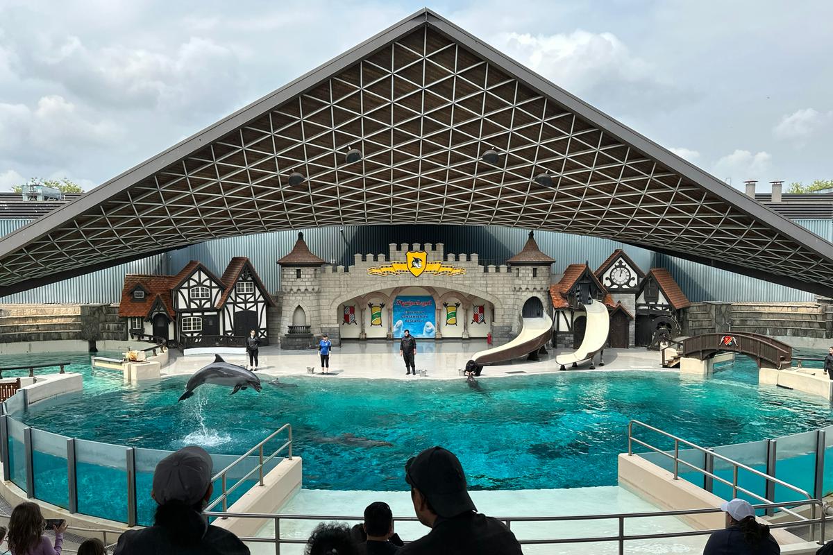 Marineland Has Solid Plan to Move Whales and Dolphins to US, Minister Says