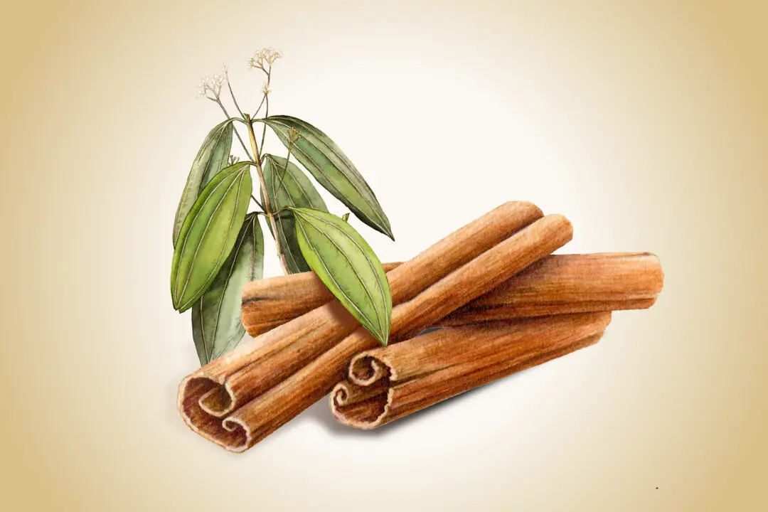 Cinnamon: A Functional Spice That Improves Blood Sugar, Lipids, and Fights Bacteria