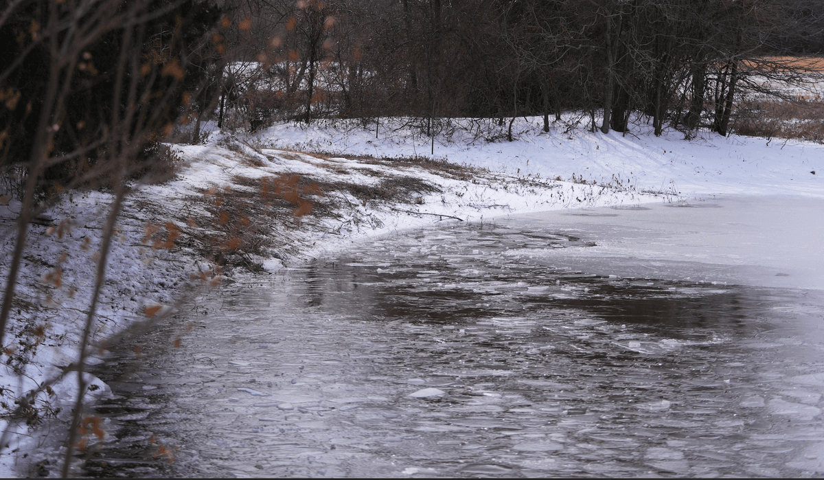 3 Young Brothers in Texas Die After Falling Through Icy Pond During Winter Storm