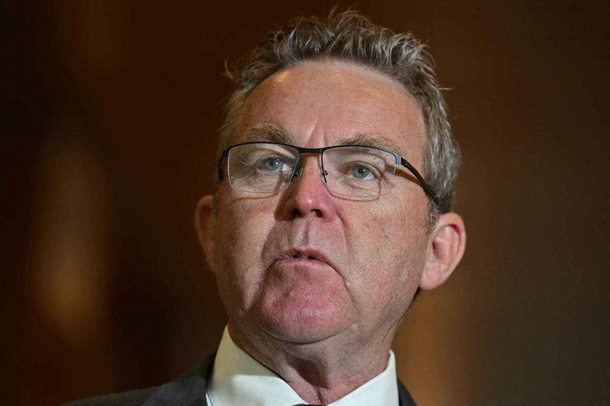 Boyce Challenges Littleproud for Nationals Party Leadership, Points to Coalition Split