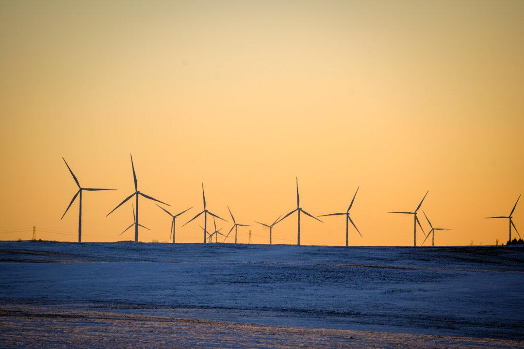 NY and 6 States Sue Federal Government Over Canceled Wind Project