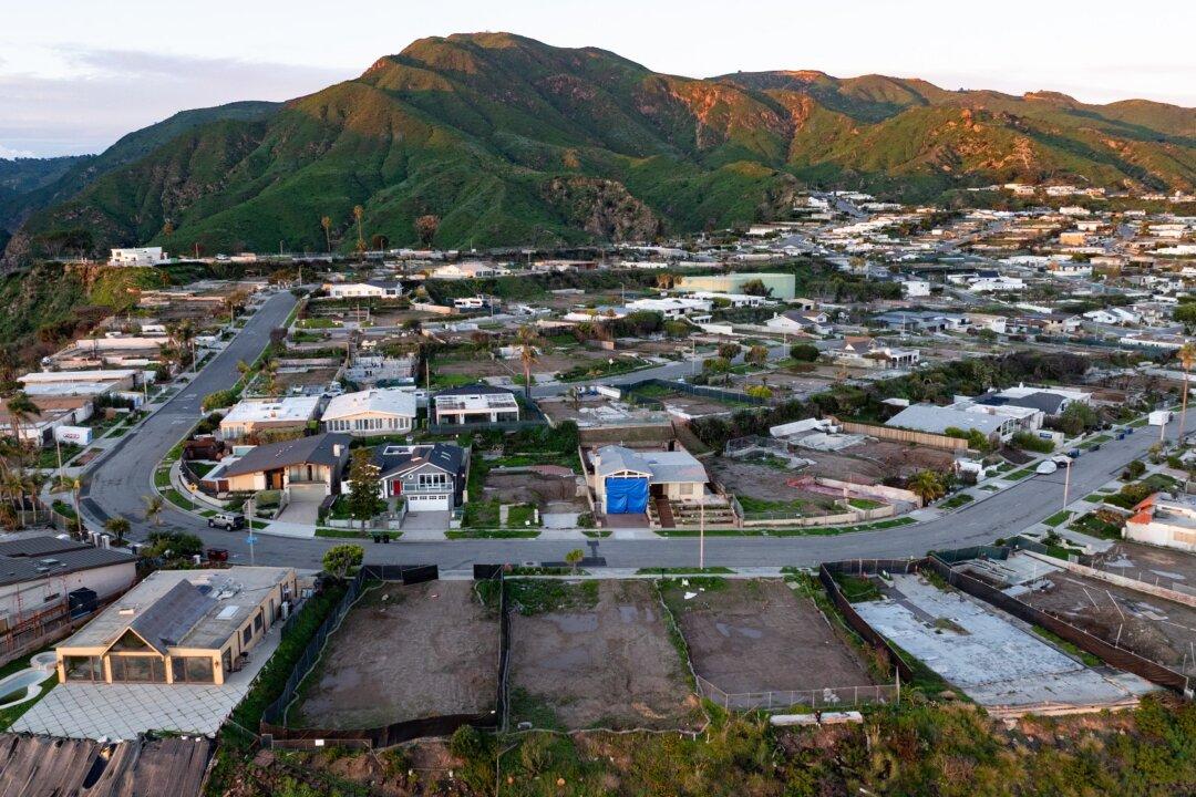 Trump Puts EPA Chief Zeldin in Charge of Expediting California Wildfire Rebuilds