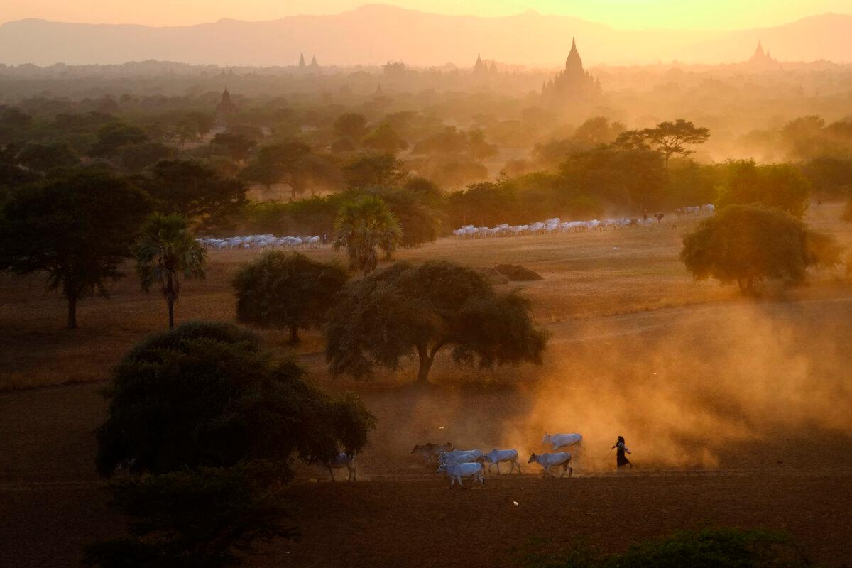 "Evening View of Bagan" by Kyaw Kyaw Winn. (NTD 5th International Photography Competition)