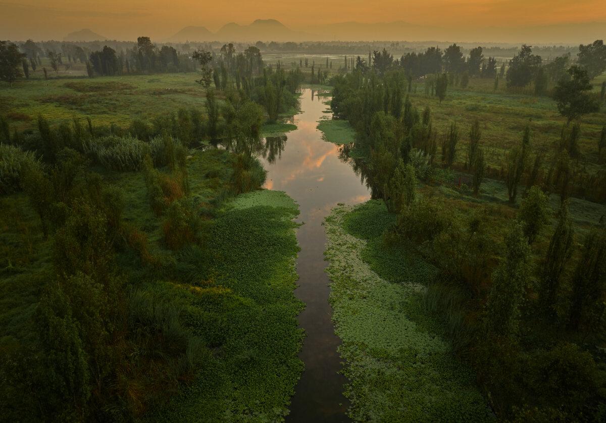 "Green Path" by Iván Macías. (NTD 5th International Photography Competition)