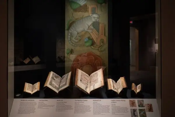 Medieval Feline Fascination