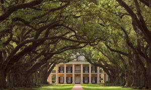 Oak Alley Plantation: A Stately Mansion Among Treasured Trees