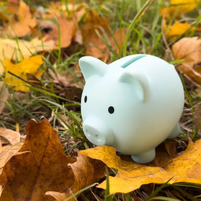 How Much Money Do You Need to Retire at 65 When You Might Live to 100?