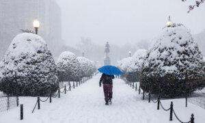 The Climate Change Racket