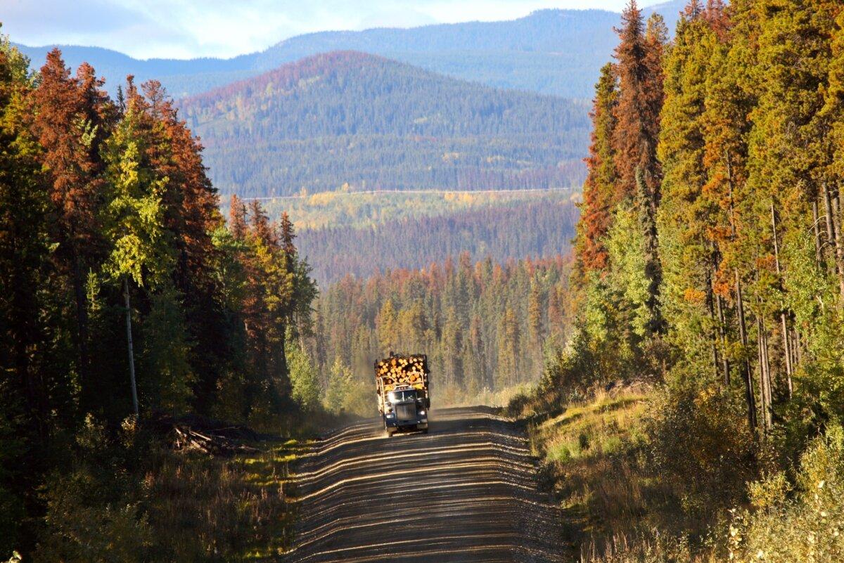 A logging truck on a road in B.C. in a file photo. (Bobloblaw/iStock)