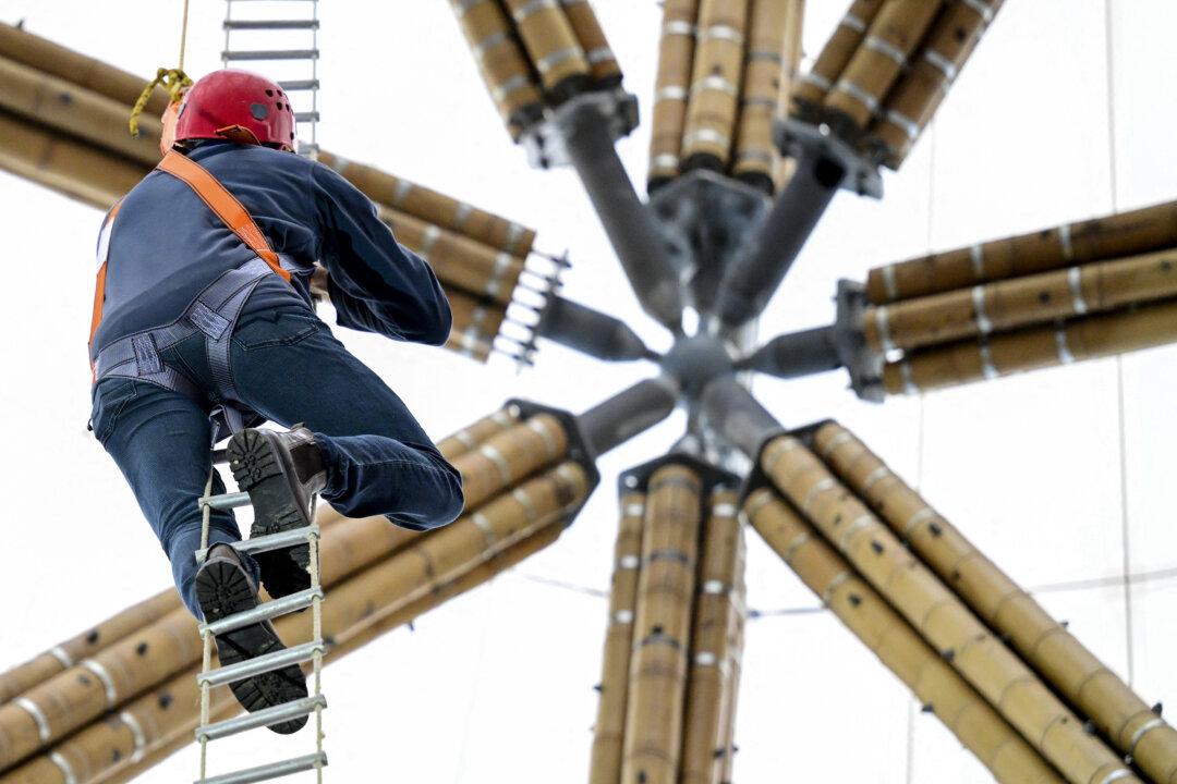 Dries Herpoelaert, CEO KMDA, climbs the new construction during a visit to the new reception area to animal park Planckendael, in Muizen, Mechelen, Wednesday 11 February 2026. The entire entrance area of Planckendael Zoo has been given a complete makeover. The eye-catcher is the 28-metre-high bamboo tower, the tallest in Europe. BELGA PHOTO DIRK WAEM (Photo by DIRK WAEM / BELGA MAG / Belga / AFP via Getty Images)