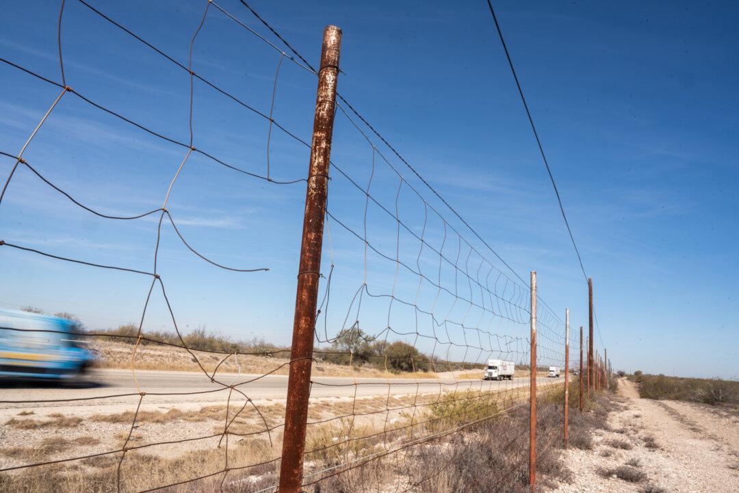 A hole in the fence at Tequesquite Ranch in Kinney County, Texas, on Jan. 29, 2026. Ranchers say the border crisis has driven up costs for fence repairs and led to lost livestock after smugglers and illegal immigrants cut openings. (Samira Bouaou/The Epoch Times)