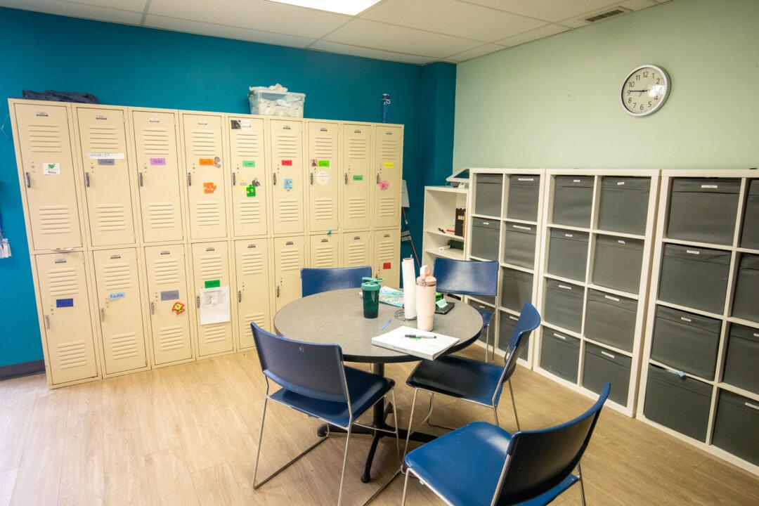 Amid Minnesota Fraud Scandal, Legitimate Autism Centers Face Closure