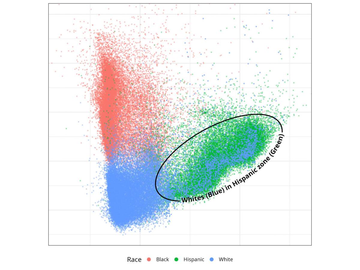 All classification variables reduced to a two-dimensional map. Individuals officially classified as "white" (blue) appear in the feature space associated with Hispanics (green). (Courtesy of Lewis Low)