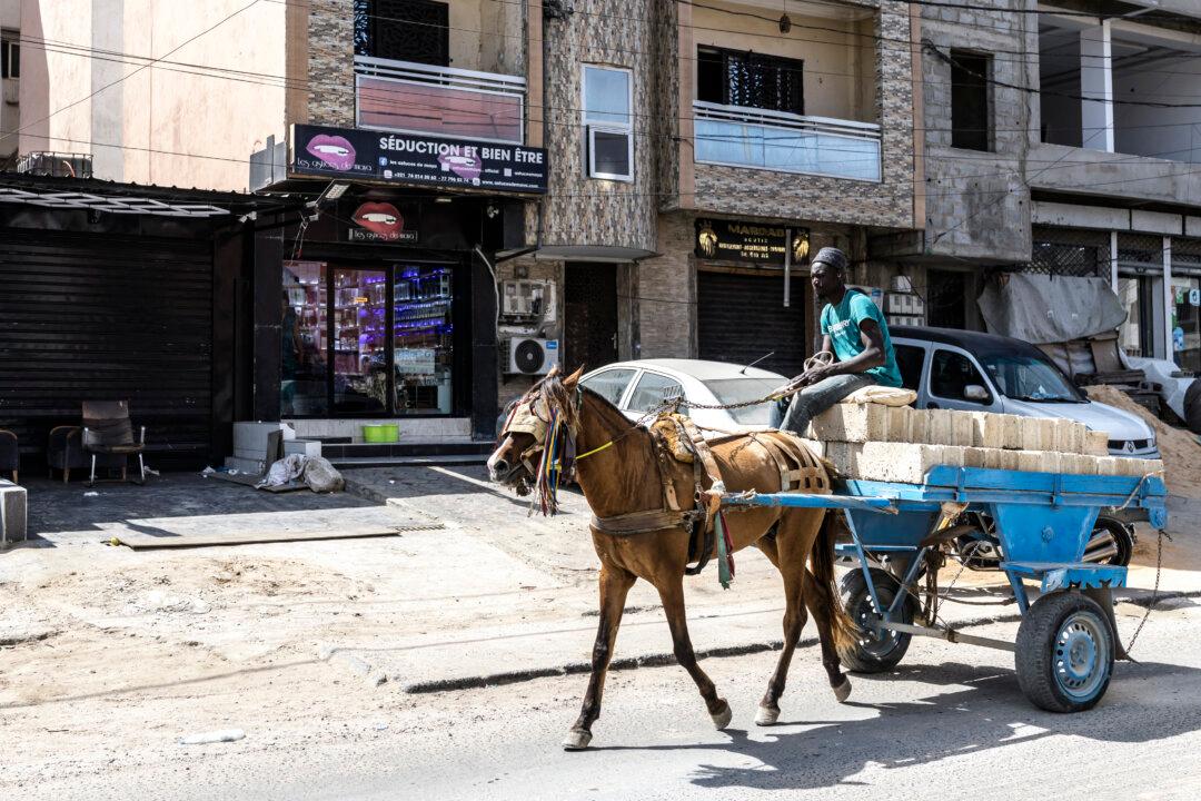 A man rides his horse-cart past the adult store "Les astuces de Maya" on the eve of Valentine's Day in Dakar, on February 13, 2026. (Photo by PATRICK MEINHARDT / AFP via Getty Images)