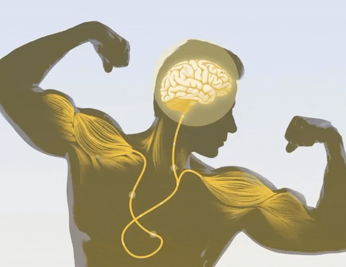 Your Mind Can Make Muscles Stronger, Here’s How