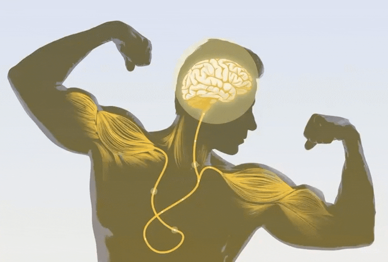 Your Mind Can Make Muscles Stronger, Here’s How