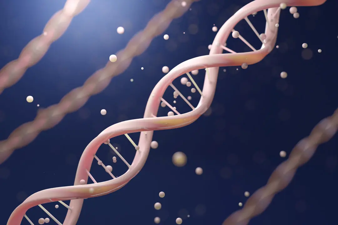 5 Daily Habits That May Influence Your Genes