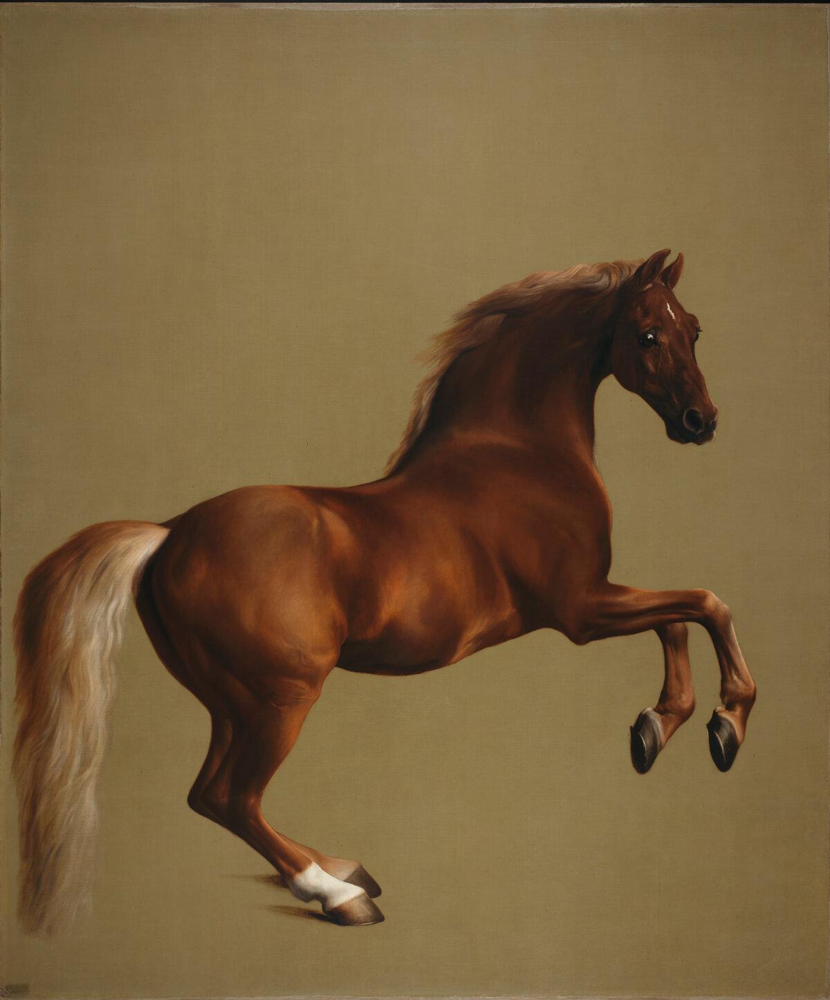 “Whistlejacket,” circa 1762, by George Stubbs. Oil on canvas; 116 5/8 inches by 97 5/8 inches. While not part of the exhibition, “Whistlejacket” can be seen in an adjacent gallery room. National Gallery, London. (The National Gallery, London)