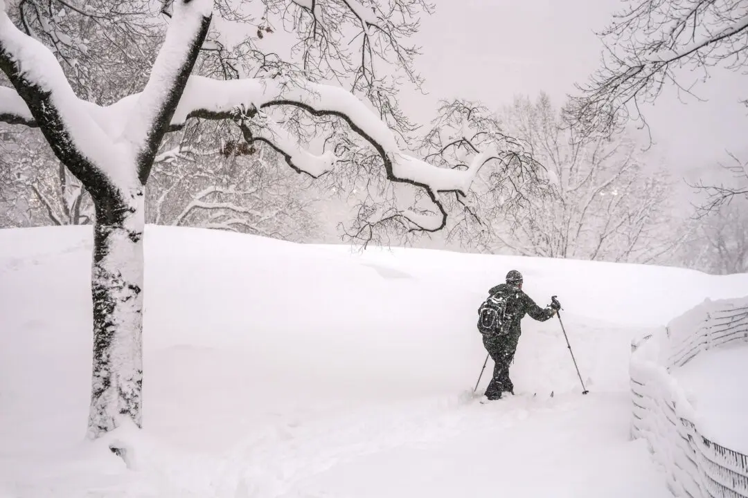 LIVE NOW: Heavy Snowfall Blankets Central Park as Northeast Faces Blizzard Conditions