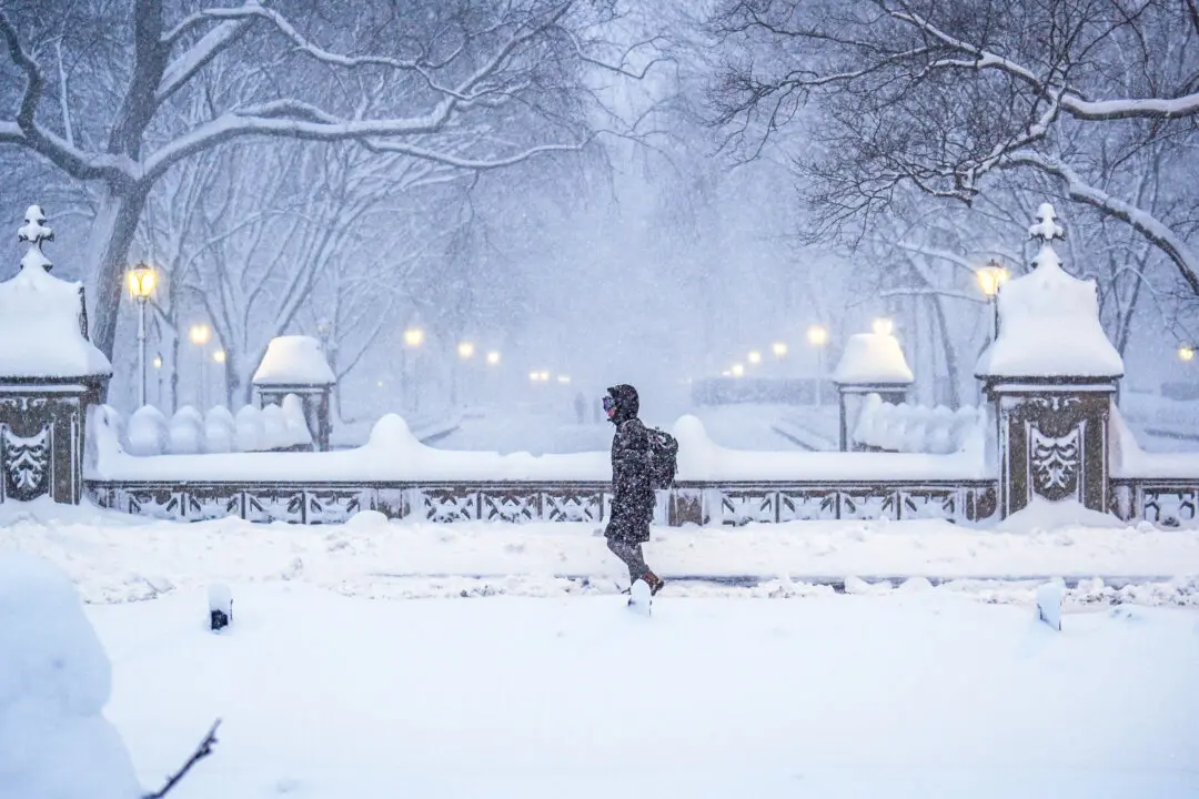 Day in Photos: Snow Storm in the US, New Prime Minister of the Netherlands, and War Against Cartel in Mexico