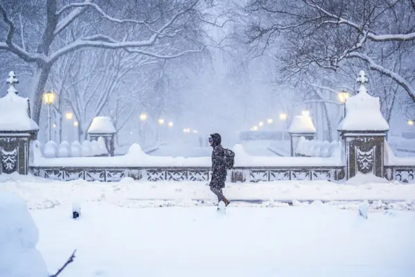 Day in Photos: Snow Storm in the US, New Prime Minister of the Netherlands, and War Against Cartel in Mexico