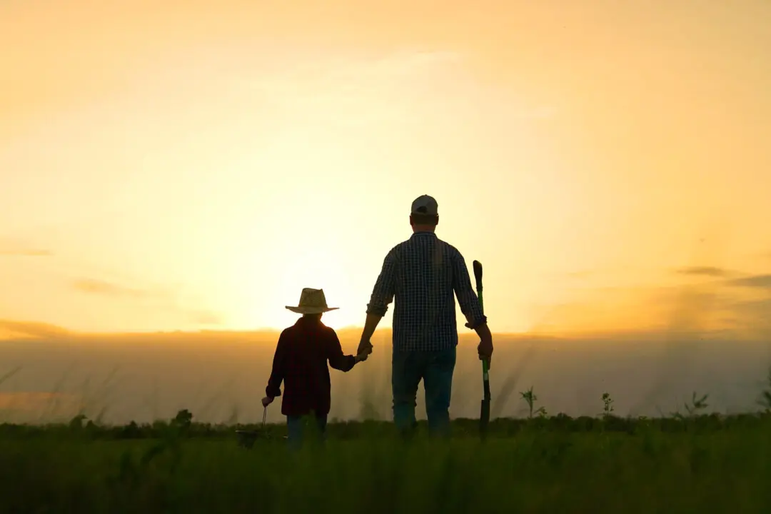 Rediscovering the Dignity of Work