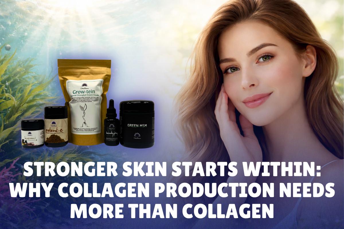 Stronger Skin Starts Within: Why Collagen Production Needs More Than Collagen