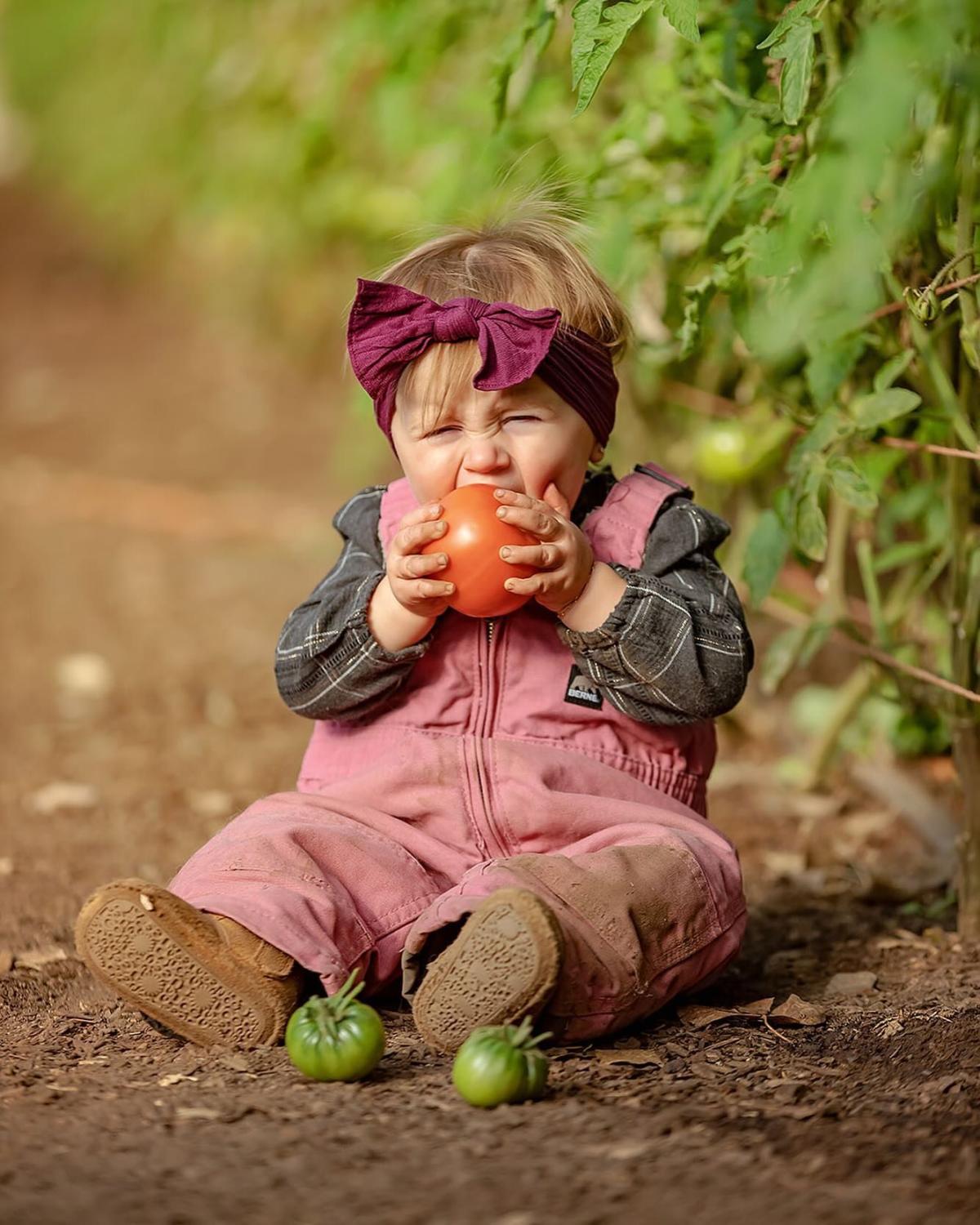 Child meets tomato at Mortimer Farms in Dewey, Ariz. (Courtesy of Mortimer Farms)