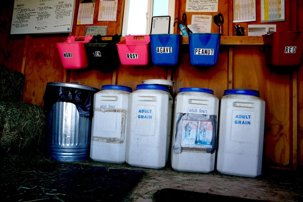 Dietary requirements for each horse rescued are fully met at the Salt River Wild Horse Management Group sanctuary in Fort McDowell, Ariz., on Feb. 27, 2026. (Allan Stein/The Epoch Times)