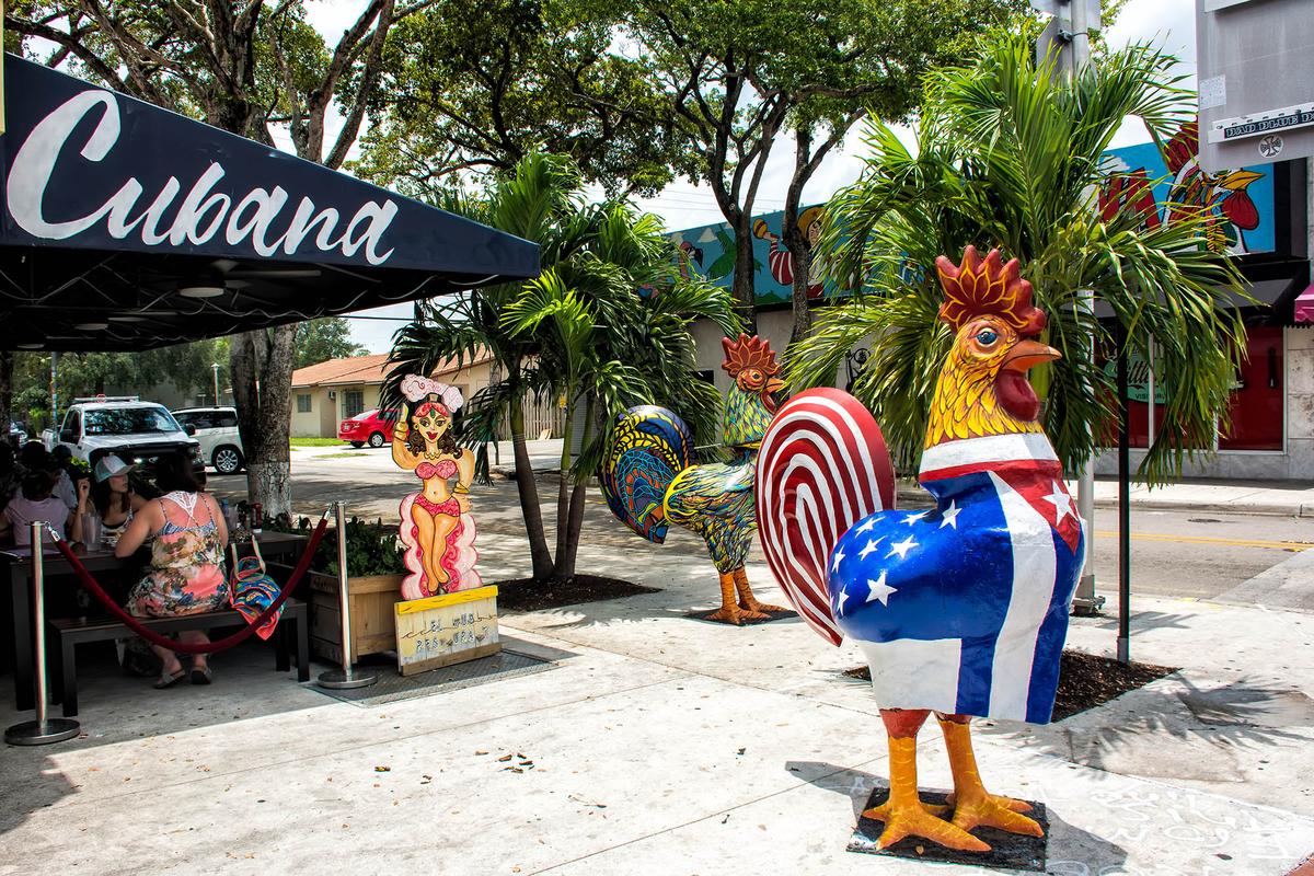 Roosters, a recognizable feature in Little Havana, is something of an informal symbol of the neighborhood's heritage and fighting spirit. (Willowtreehouse/Shutterstock)