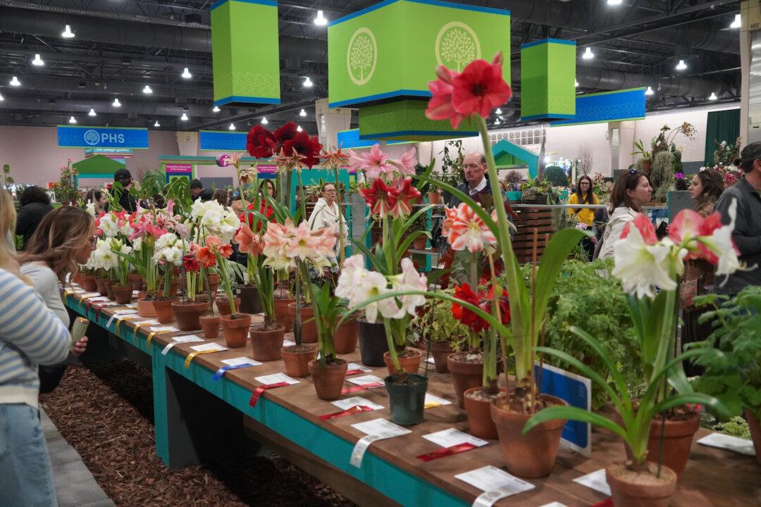 Philadelphia Flower Show: America’s Largest and the World’s Longest-Running Horticultural Event