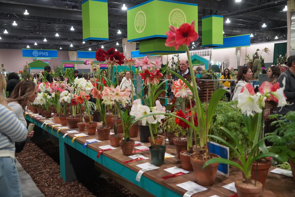 Philadelphia Flower Show: America’s Largest and the World’s Longest-Running Horticultural Event