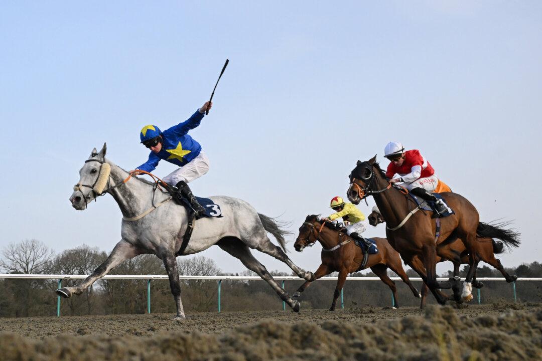 LINGFIELD, ENGLAND - MARCH 05: Luke Morris and Secret Road (L) on their way to victory in the Daily Profit Boosts At betmgm.co.uk Handicap at Lingfield Park on March 05, 2026 in Lingfield, England. (Photo by Mike Hewitt/Getty Images)
