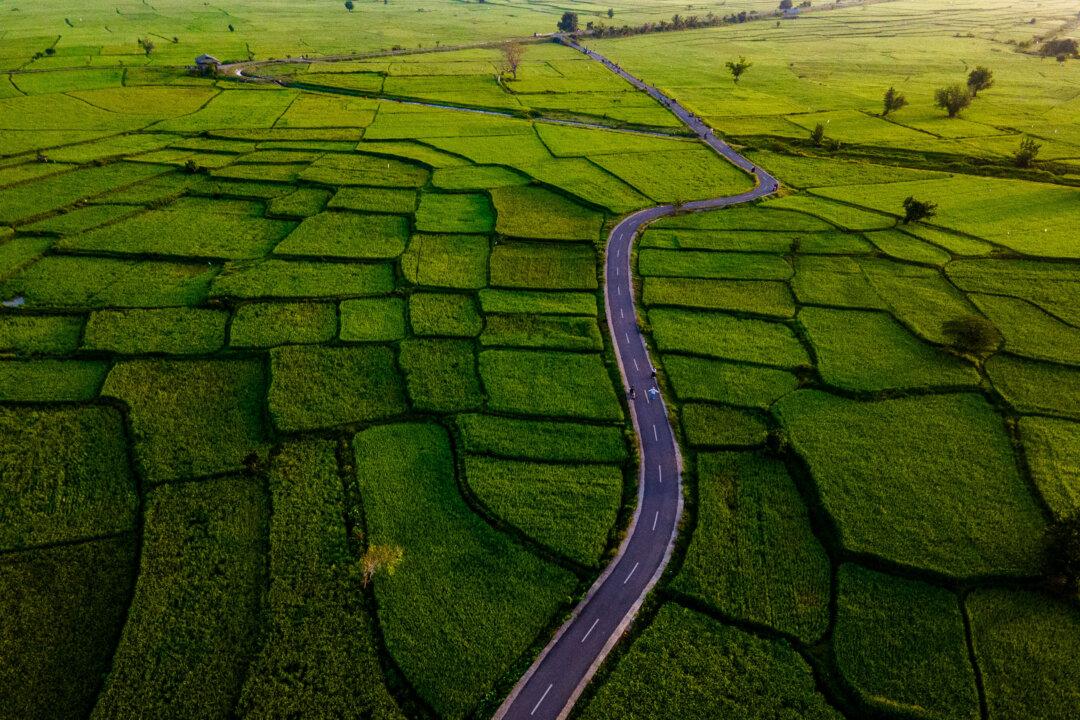 TOPSHOT - This aerial picture show people walking past paddy fields at sunrise in Montasik, Indonesia's Aceh province on March 5, 2026. (Photo by CHAIDEER MAHYUDDIN / AFP via Getty Images)