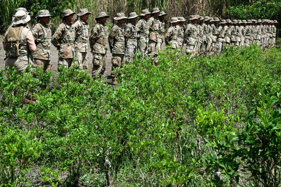 Bolivian soldiers prepare to eradicate coca plants on a demonstration camp after the presentation of the coca crop rationalization and eradication efforts at the Cabanas Operations base in Chimore, Cochabamba department, Bolivia on March 5, 2025. (Photo by AIZAR RALDES / AFP via Getty Images)