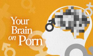 What Does the Brain Look Like on Pornography?