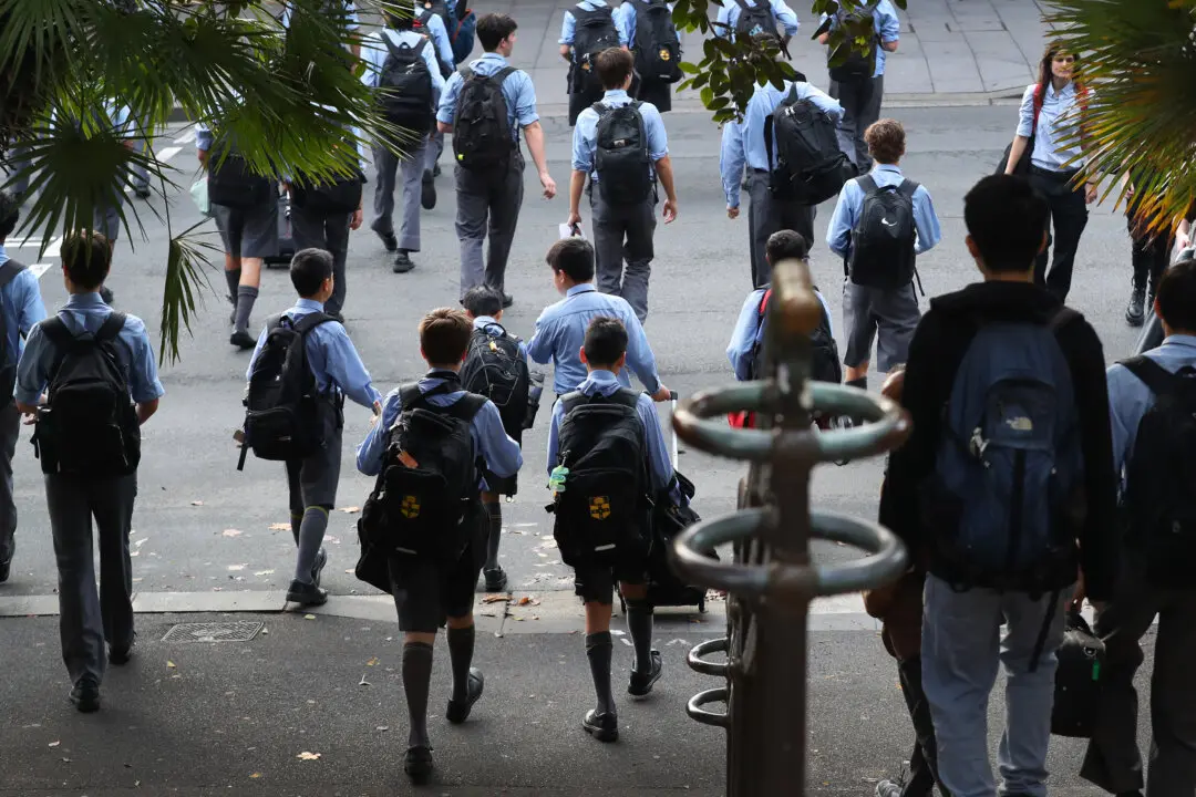 Nationwide NAPLAN Outage Disrupts Online Testing in Schools