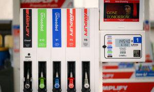 Private Developer Puts up Hand to Build Refinery Amid Fuel Supply Chain Crisis