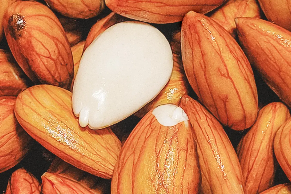 Why You Should Soak and Sprout Nuts and Legumes