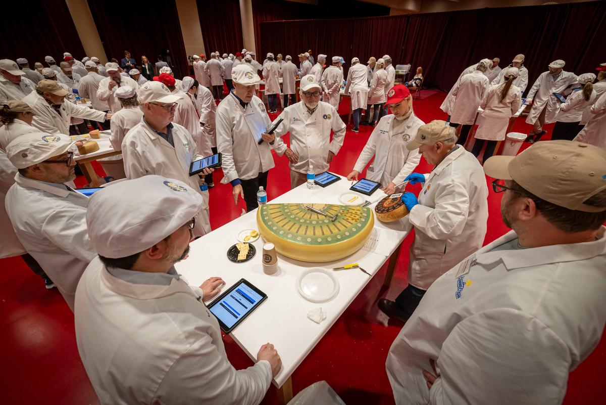 The World Cheese Championship attracts thousands of cheeses from around the globe. (Courtesy of Wisconsin Cheese Makers Association)