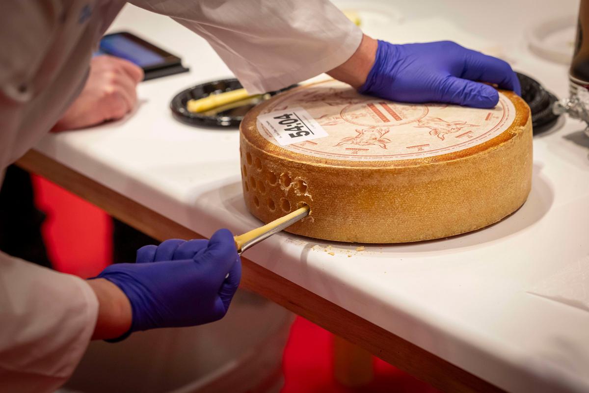 <span style="font-weight: 400;">A tool called a cheese trier extracts samples of cheeses for the judges. </span>(Courtesy of Wisconsin Cheese Makers Association)