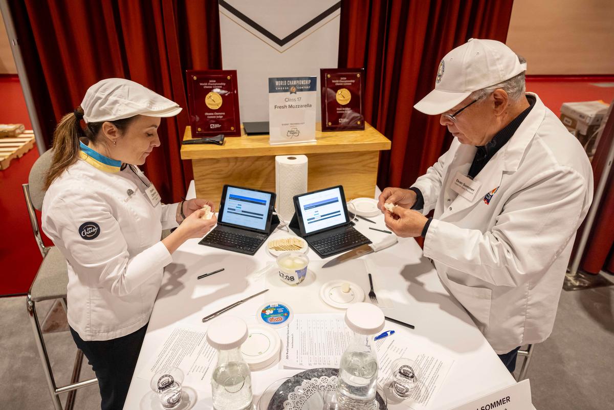 Judges carefully assess each cheese's body, texture, flavor, and finish. (Courtesy of Wisconsin Cheese Makers Association)