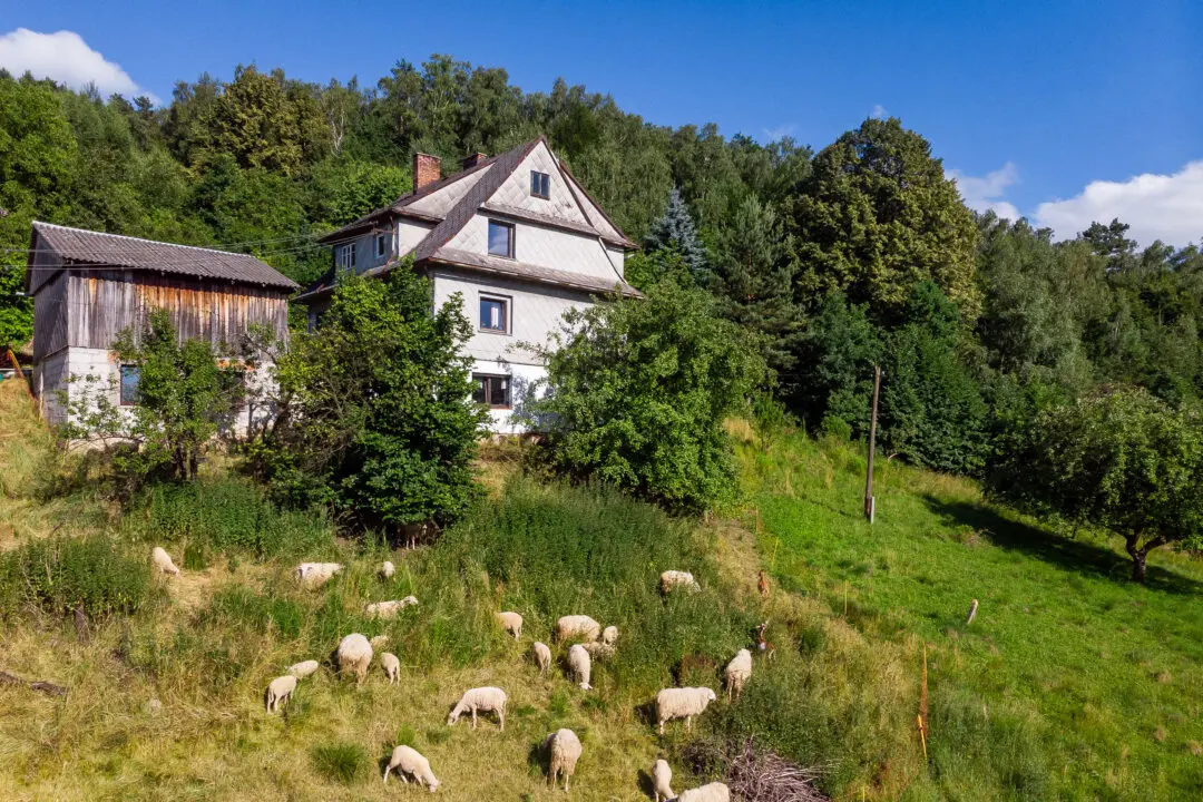 Food Culture and Red Tape: A Tale of Two Agricultural Systems